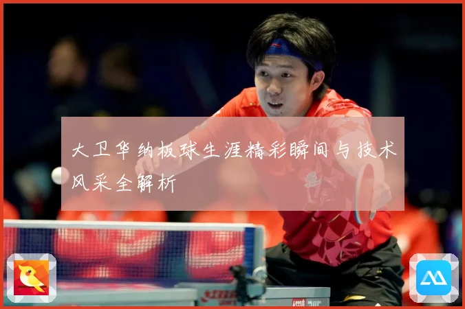 大卫华纳板球生涯精彩瞬间与技术风采全解析
