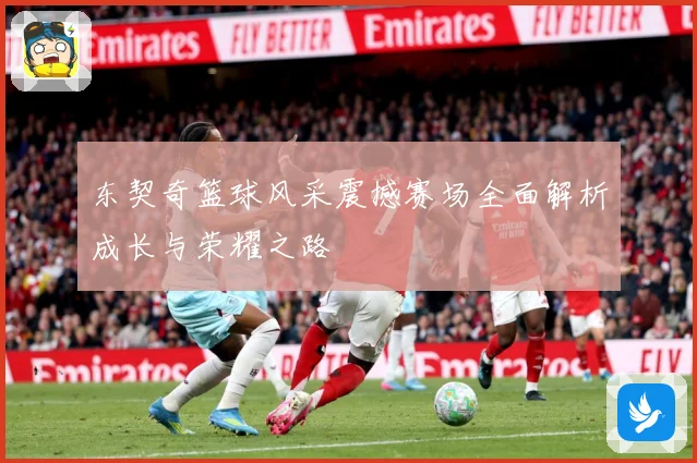 东契奇篮球风采震撼赛场全面解析成长与荣耀之路